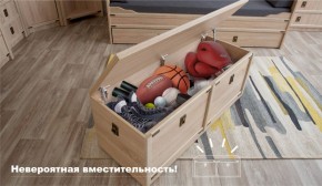 Сундук Валенсия Дуб сонома (Имп) в Ирбите - irbit.mebel-e96.ru