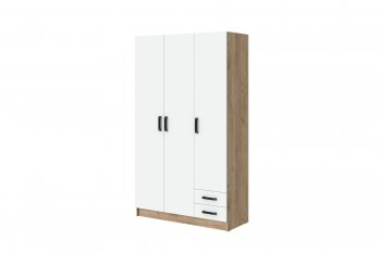Шкаф 1200 мм Эконом без зеркала (Зарон) в Ирбите - irbit.mebel-e96.ru