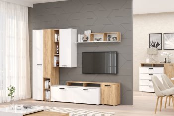 Стенка Эльза комп.2 (Зарон) в Ирбите - irbit.mebel-e96.ru