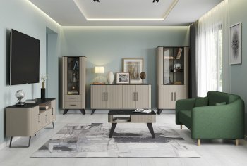 Стенка Фиделия, модульная (Олмеко) в Ирбите - irbit.mebel-e96.ru