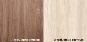 Гостиная Прага (Ясень шимо тёмный/светлый) в Ирбите - irbit.mebel-e96.ru