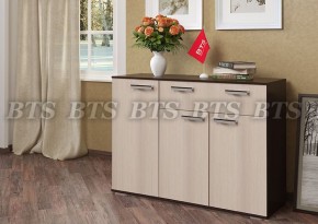 Комод Стандарт 4 NEW (БТС) в Ирбите - irbit.mebel-e96.ru