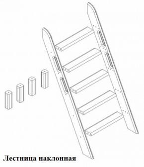 Кровать Сонечка 2-х ярусная (модульная) в Ирбите - irbit.mebel-e96.ru