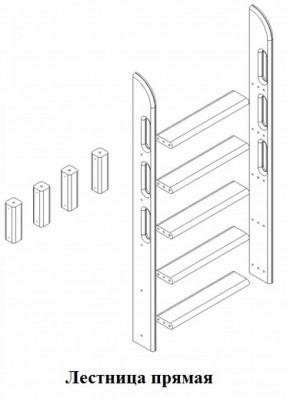 Кровать Сонечка 2-х ярусная (модульная) в Ирбите - irbit.mebel-e96.ru