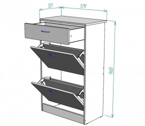 Обувница W21 (ДМ) в Ирбите - irbit.mebel-e96.ru