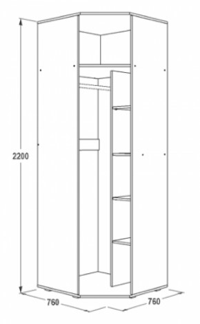 Шкаф 1-но дверный угловой Ольга-14 (760*760) в Ирбите - irbit.mebel-e96.ru