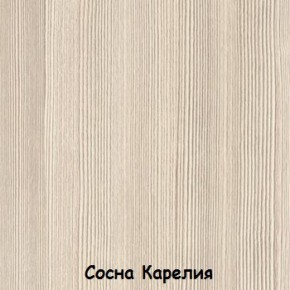 Шкаф 500 мм ДМ-03 Серия 2 (СВ) в Ирбите - irbit.mebel-e96.ru