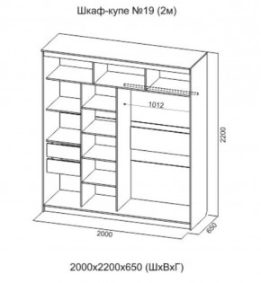 Шкаф-купе №19 Инфинити 2000 мм Ясень анкор светлый (СВ) в Ирбите - irbit.mebel-e96.ru