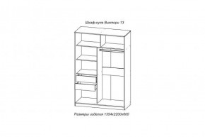 Шкаф-купе ВИКТОРИ-13 Анкор темный в Ирбите - irbit.mebel-e96.ru