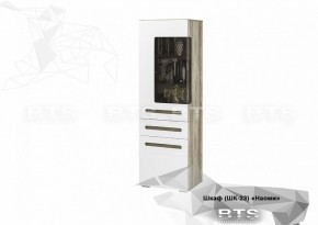 Шкаф ШК-23 Наоми 600 мм (БТС) в Ирбите - irbit.mebel-e96.ru