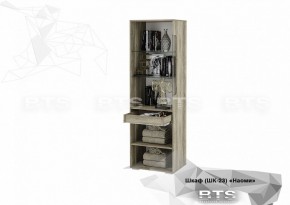 Шкаф ШК-23 Наоми 600 мм (БТС) в Ирбите - irbit.mebel-e96.ru