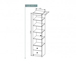 Шкаф Сканди 450 мм, ШД450.1 (ДСВ) в Ирбите - irbit.mebel-e96.ru