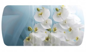 Стол Бостон-3 (Белая Орхидея) 1100/1420*700, опора Брифинг в Ирбите - irbit.mebel-e96.ru
