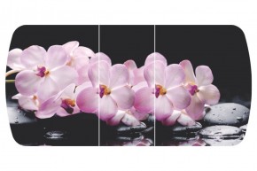 Стол Бостон-3 (Розовая Орхидея) 1100/1420*700, опора Брифинг в Ирбите - irbit.mebel-e96.ru