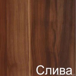 Стол раскладной с ящиком (6-02.120) Слива (ГК) в Ирбите - irbit.mebel-e96.ru