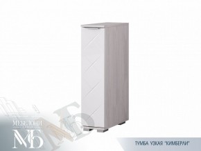 Тумба узкая ТБ-21 Кимберли (БТС) в Ирбите - irbit.mebel-e96.ru | фото